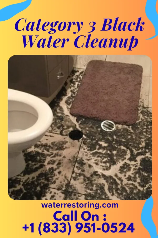 Category 3 Black Water Cleanup in Frederick, SD